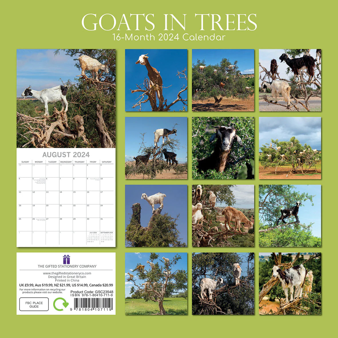GOATS IN TREES Kalender 2024